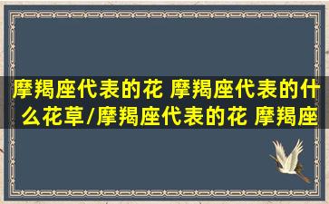 摩羯座代表的花 摩羯座代表的什么花草/摩羯座代表的花 摩羯座代表的什么花草-我的网站